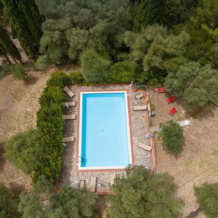 Villa I Tigli Campiglia Marittima Buitenkant foto