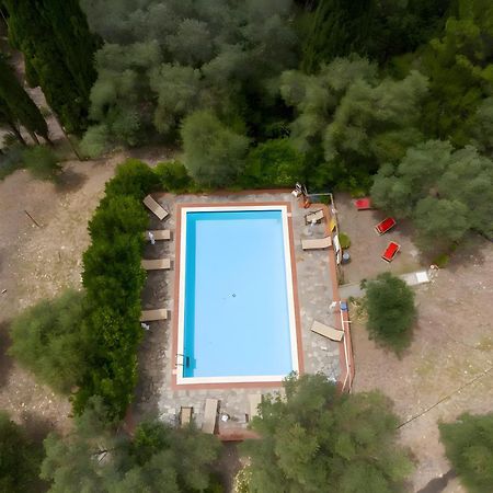 Villa I Tigli Campiglia Marittima Buitenkant foto