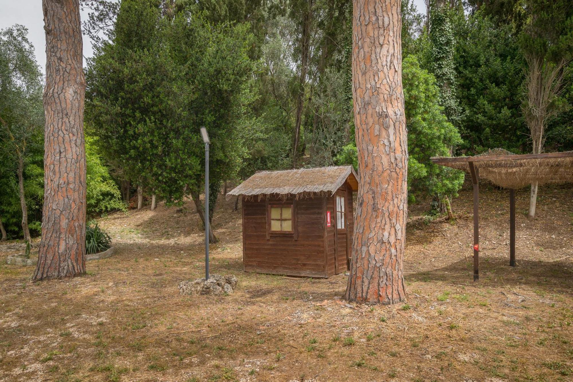 Villa I Tigli Campiglia Marittima Buitenkant foto