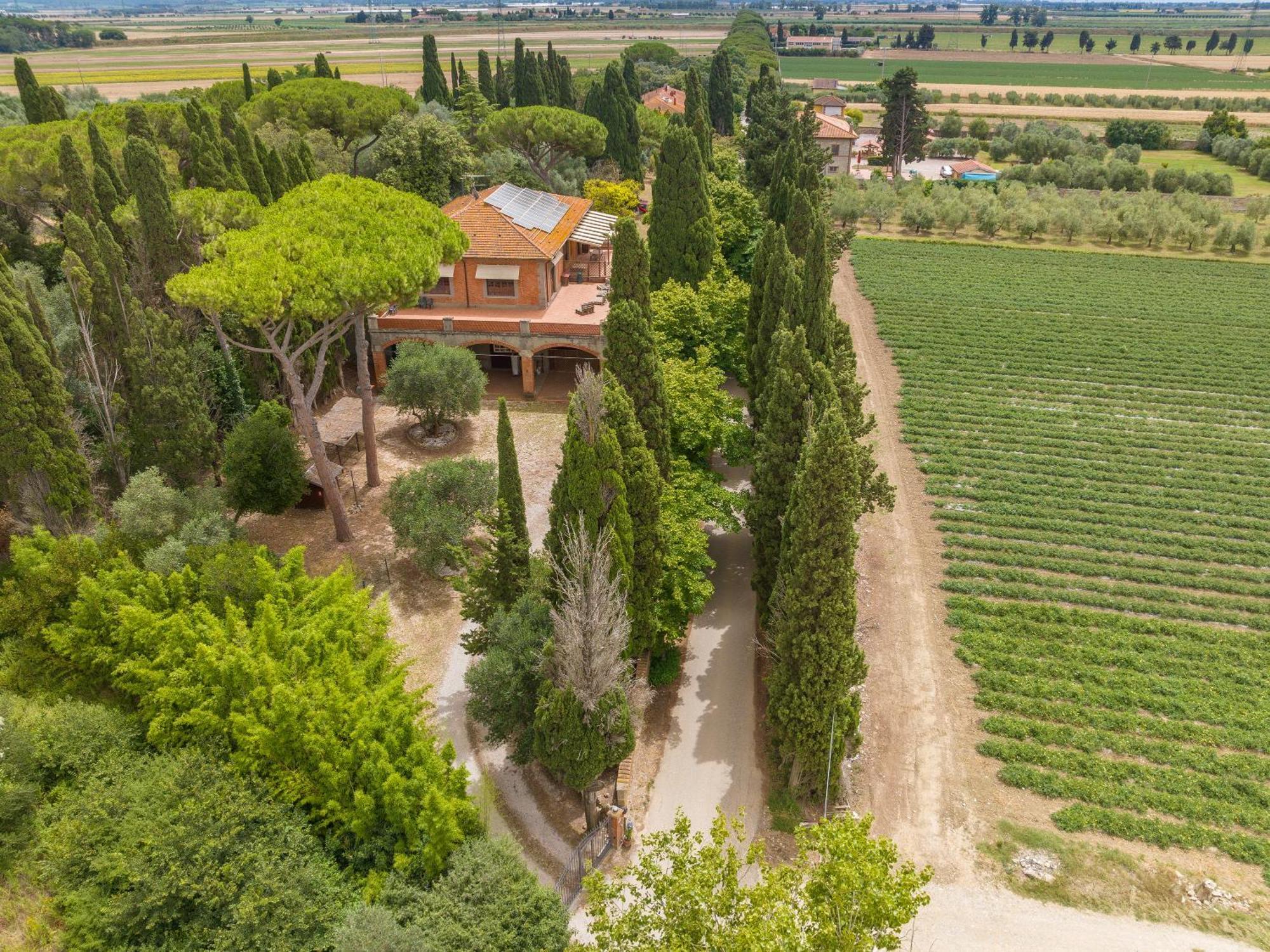 Villa I Tigli Campiglia Marittima Buitenkant foto
