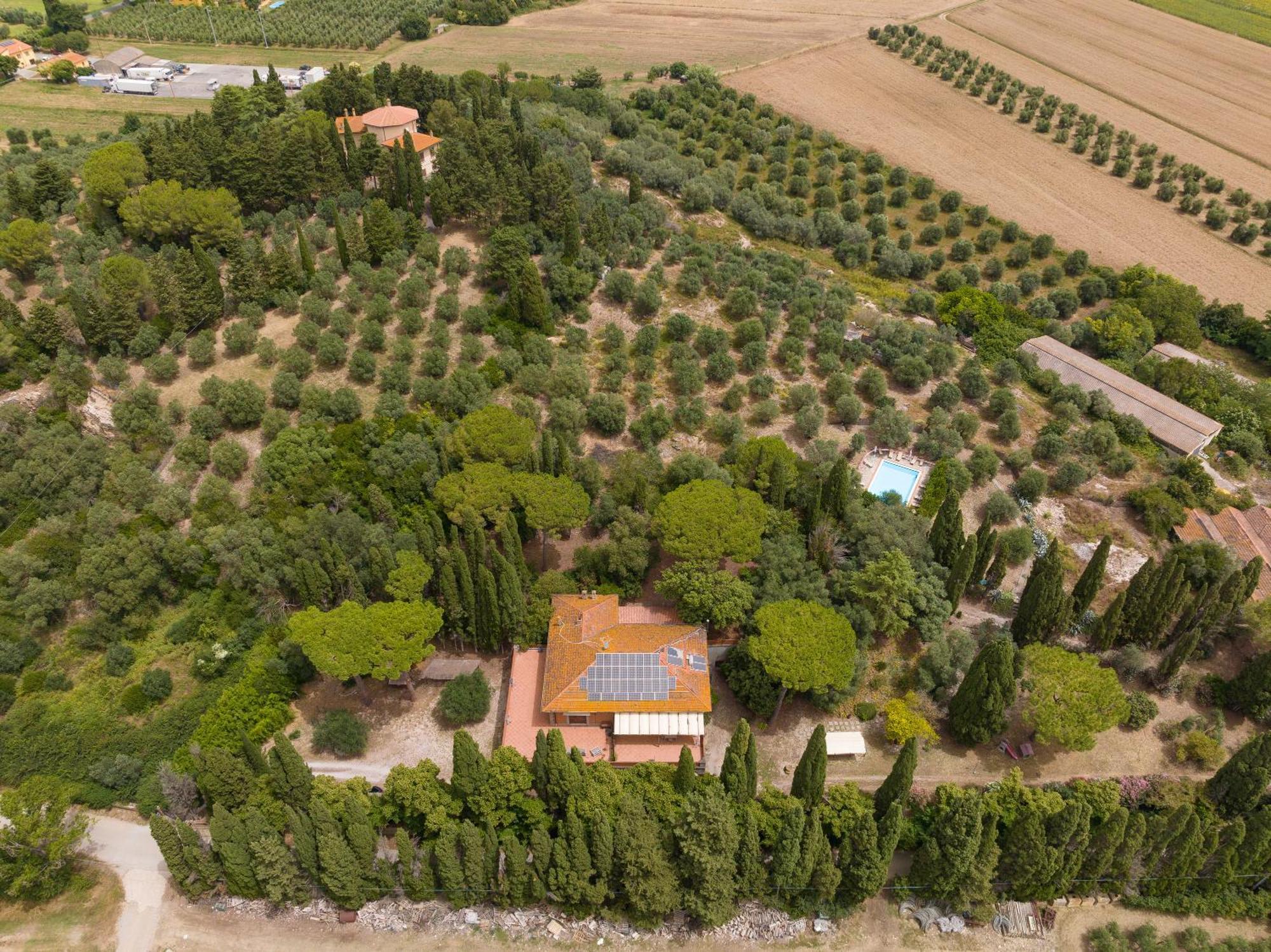 Villa I Tigli Campiglia Marittima Buitenkant foto