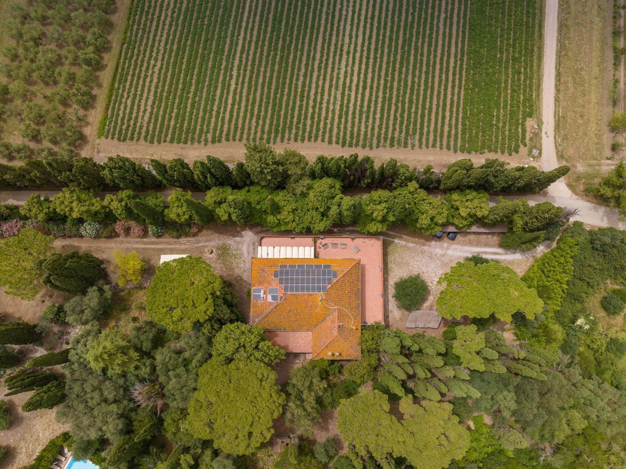 Villa I Tigli Campiglia Marittima Buitenkant foto