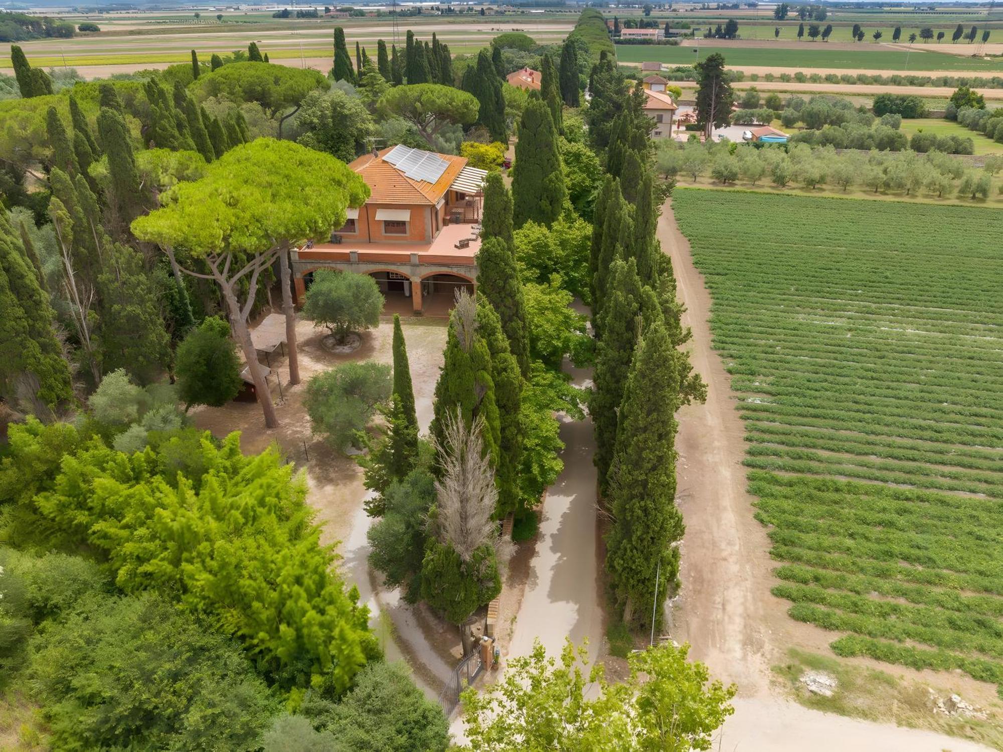 Villa I Tigli Campiglia Marittima Buitenkant foto
